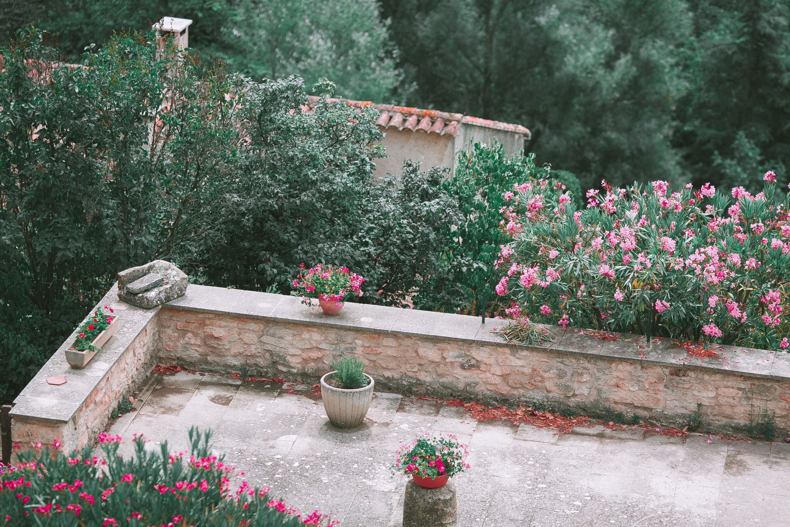 Cour pierre avec pots fleurs buissons