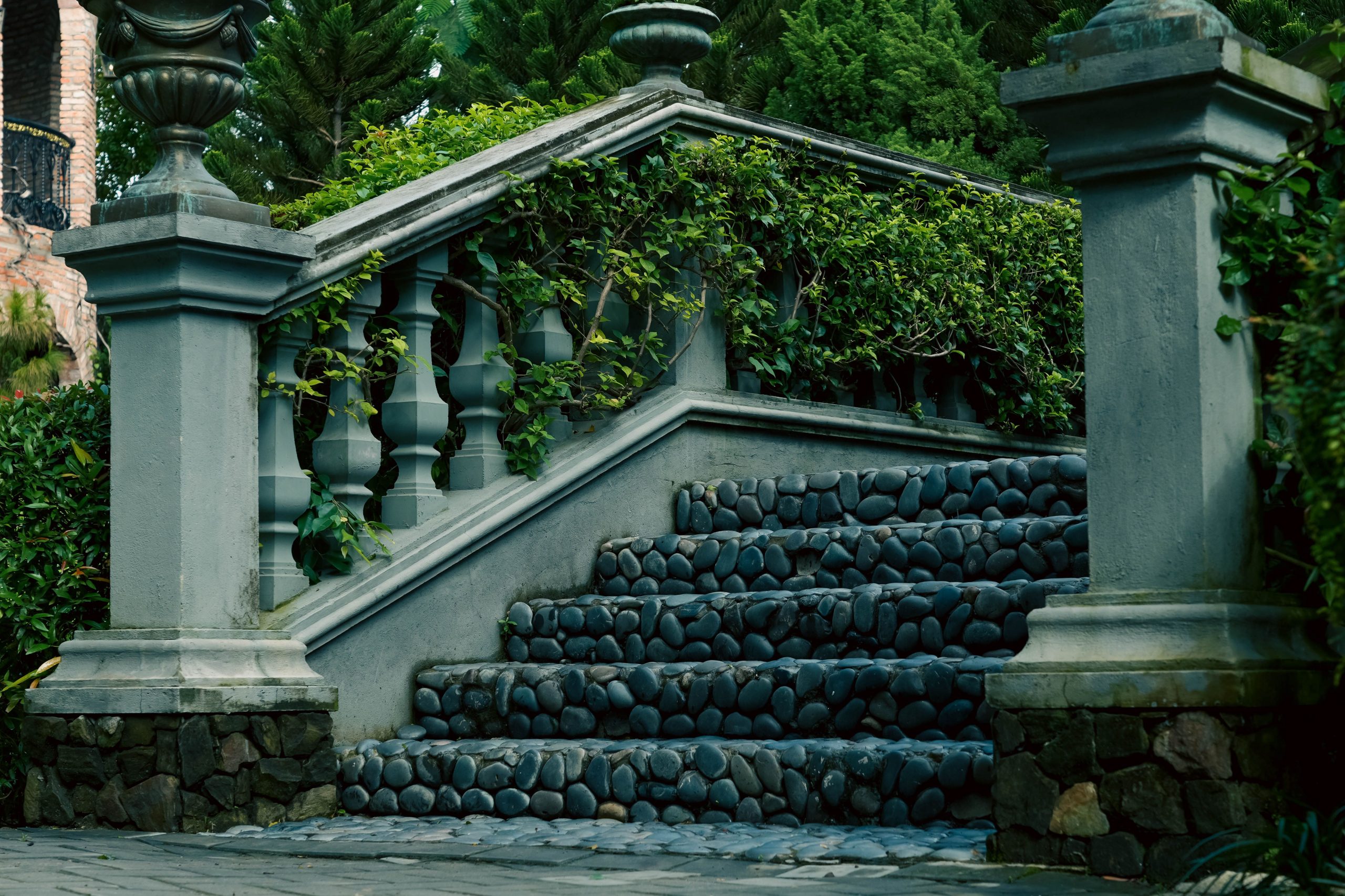Escalier pierre extérieur lierre jardin